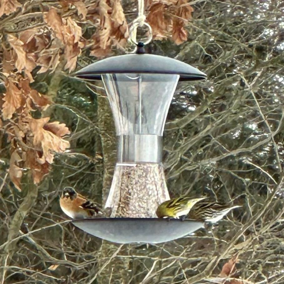 Vacker och elegant matare - timglas