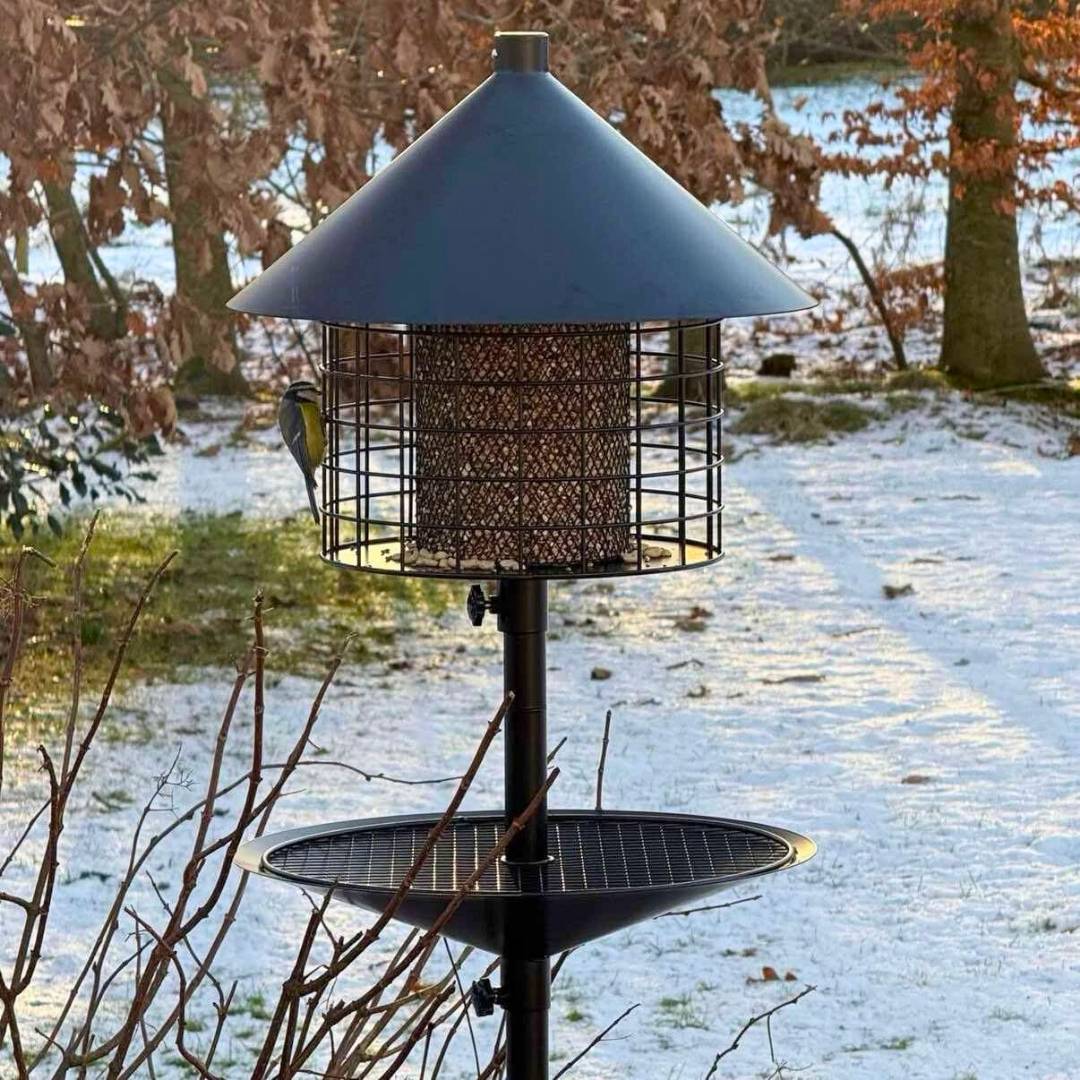 Sortenæb lyxig viltfågelblandning