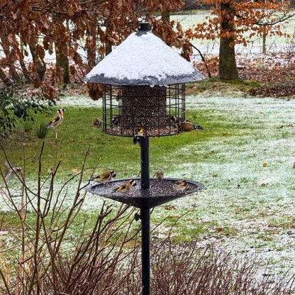 Råttsäker fågelmatare (Förbeställ januari)