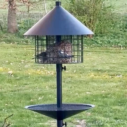 Råttsäker fågelmatare (Förbeställ januari)