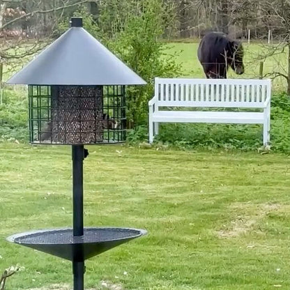 Sortenæb lyxig viltfågelblandning