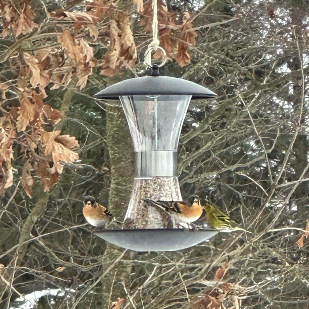 Vacker och elegant matare - timglas