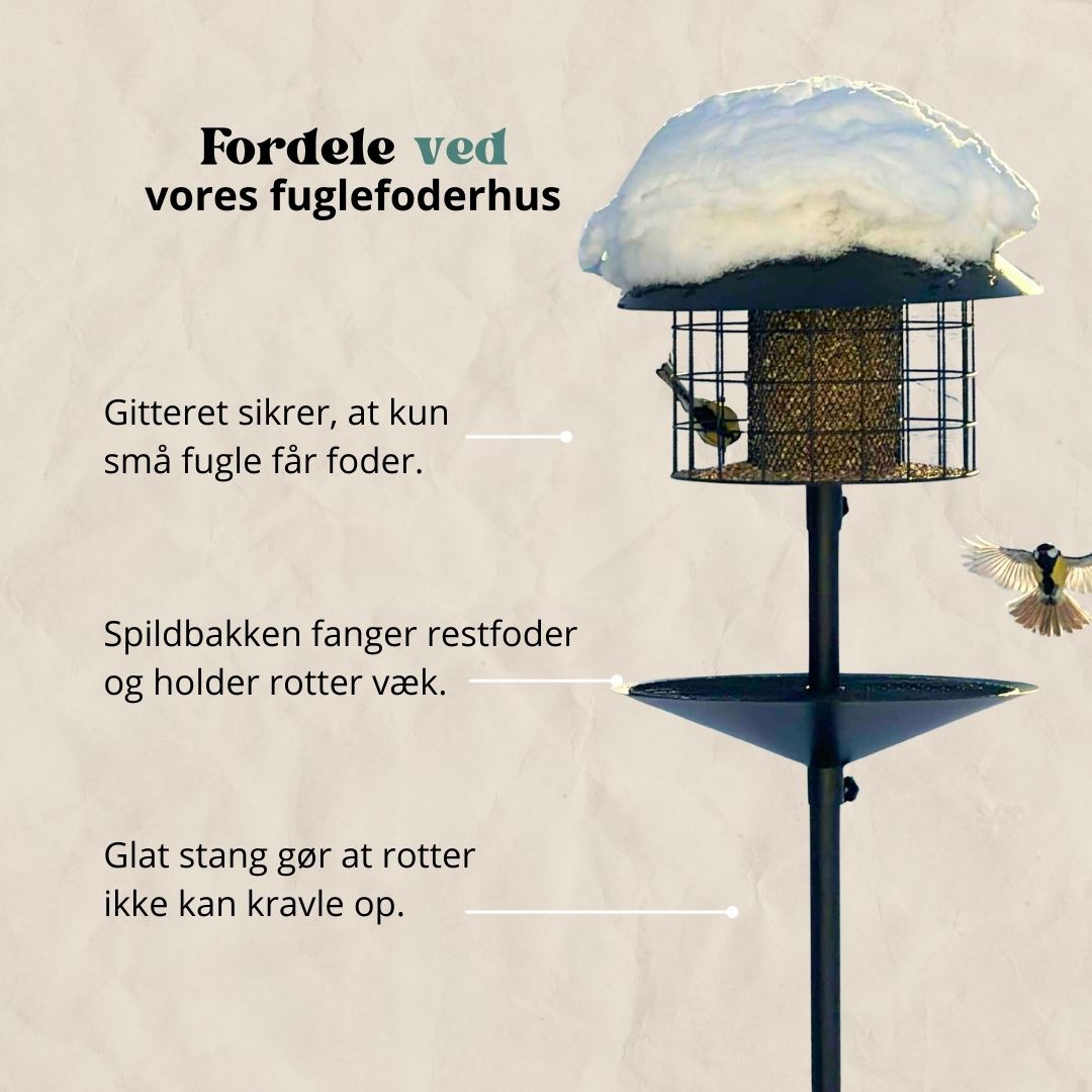 Råttsäker fågelmatare (Förbeställ januari)