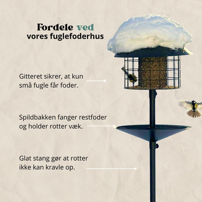 Råttsäker fågelmatare (Förbeställ januari)