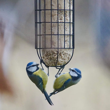 Fågelmatare för energikakor eller fröbollar