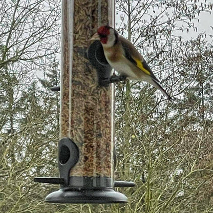Fågelmatare för frön och fröblandningar - hög