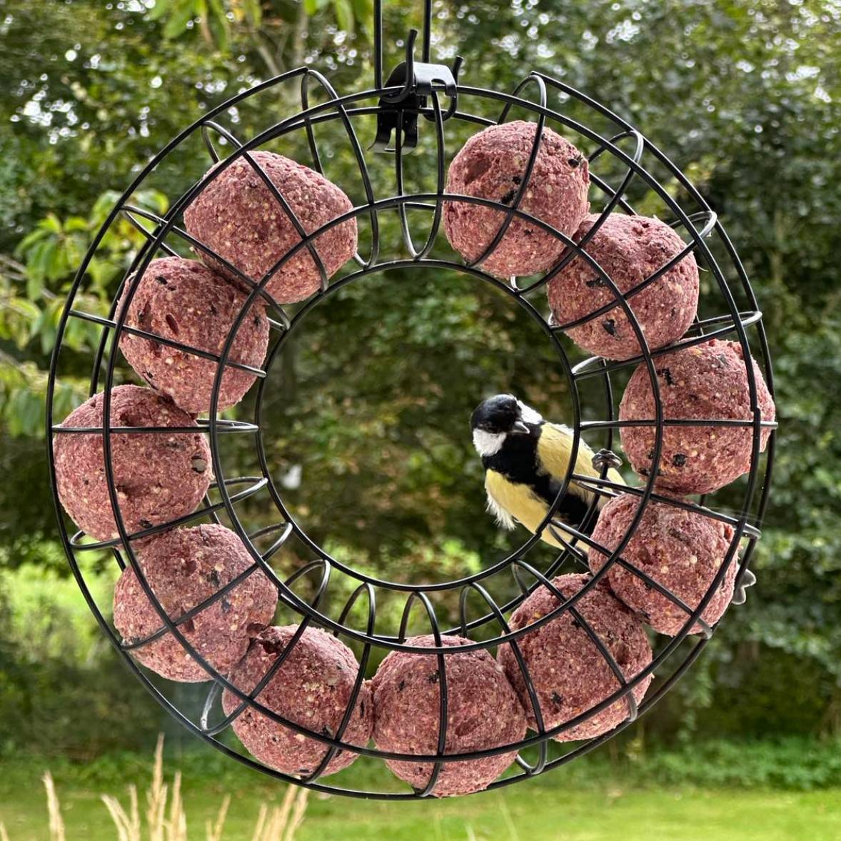 Fågelmatarring för fröbollar - svart metall