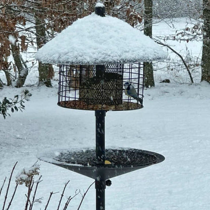Råttsäker fågelmatare (Förbeställ januari)