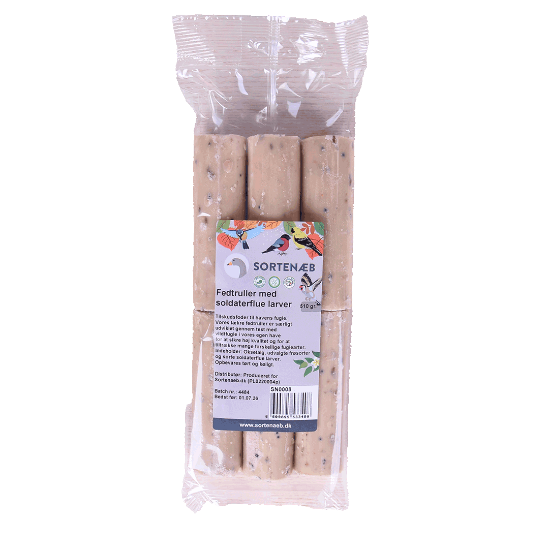 Sortenæb talgrullar med fluglarver