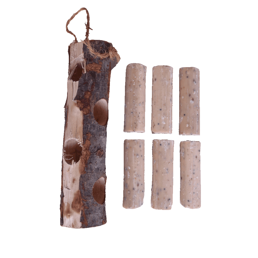 Sortenæb talgrullar med fluglarver