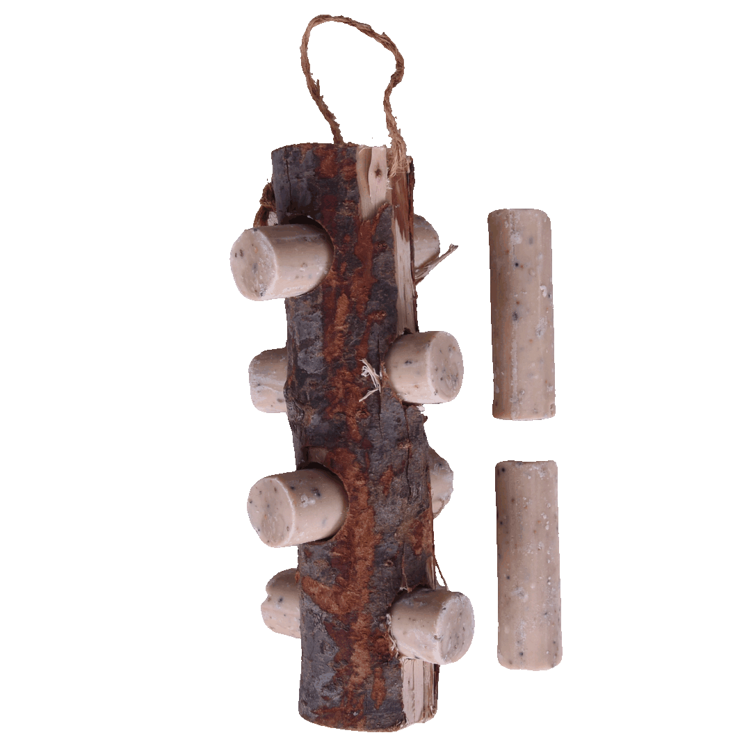 Sortenæb talgrullar med fluglarver