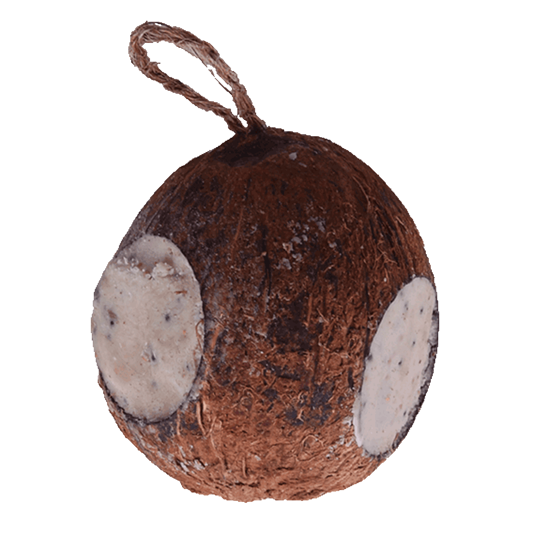 Sortenæb hel kokosnöt med 3 hål 350 g