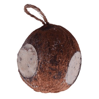 Sortenæb hel kokosnöt med 3 hål 350 g