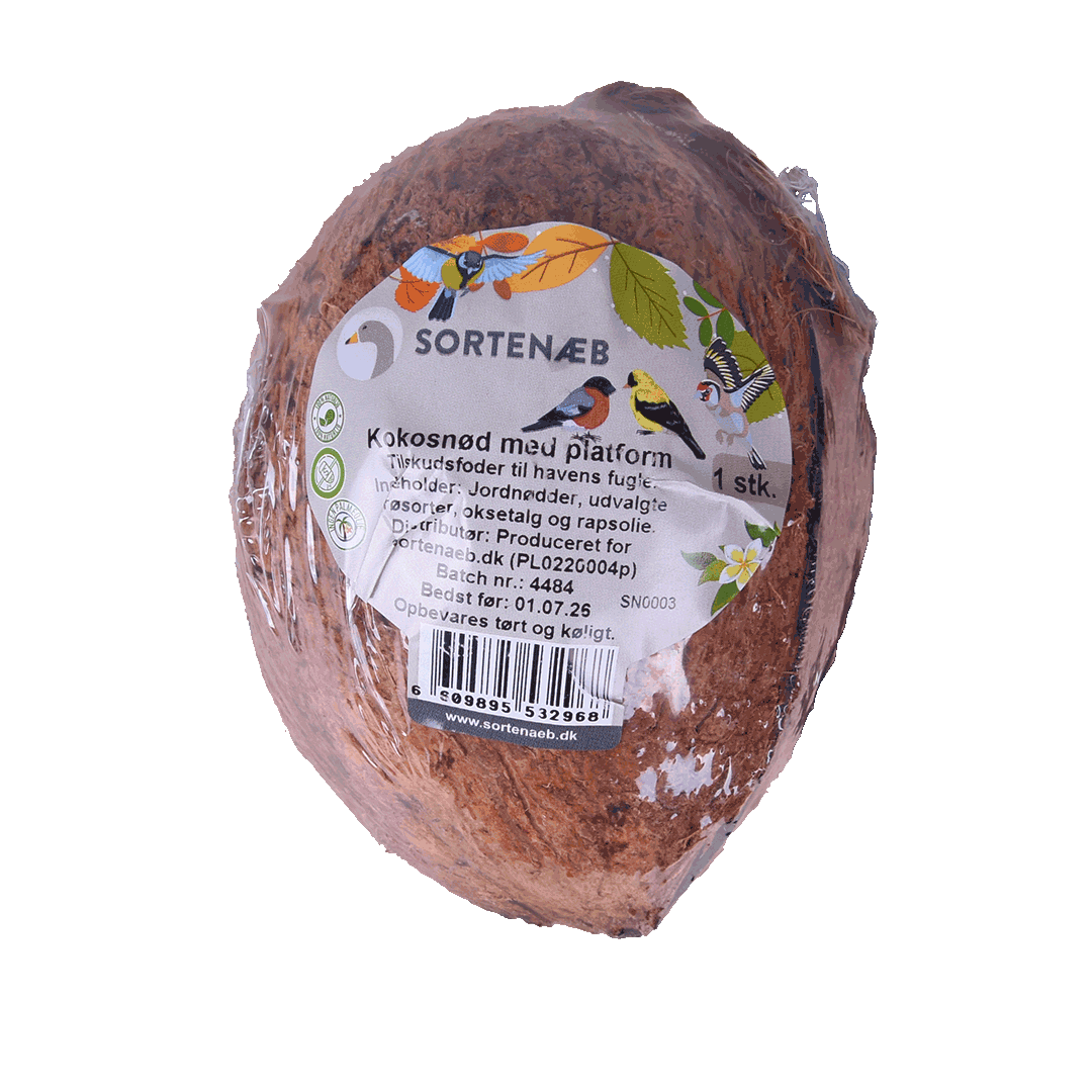 Sortenæb kokosnöt med plattform - bra för fåglar att sitta på