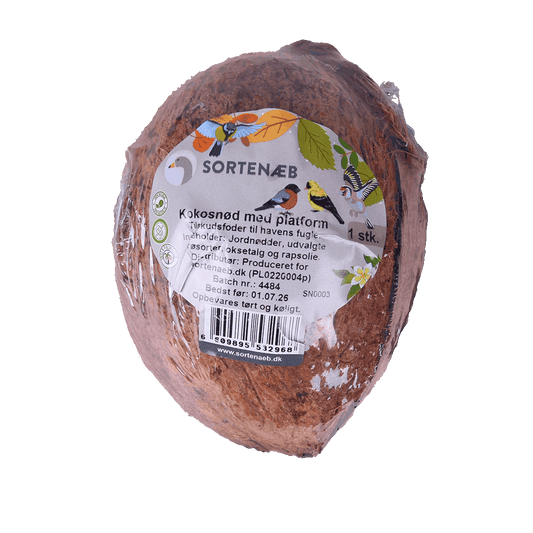 Sortenæb kokosnöt med plattform - bra för fåglar att sitta på
