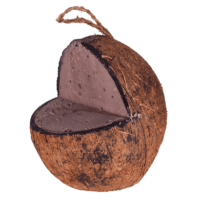 Sortenæb kokosnöt med plattform - bra för fåglar att sitta på