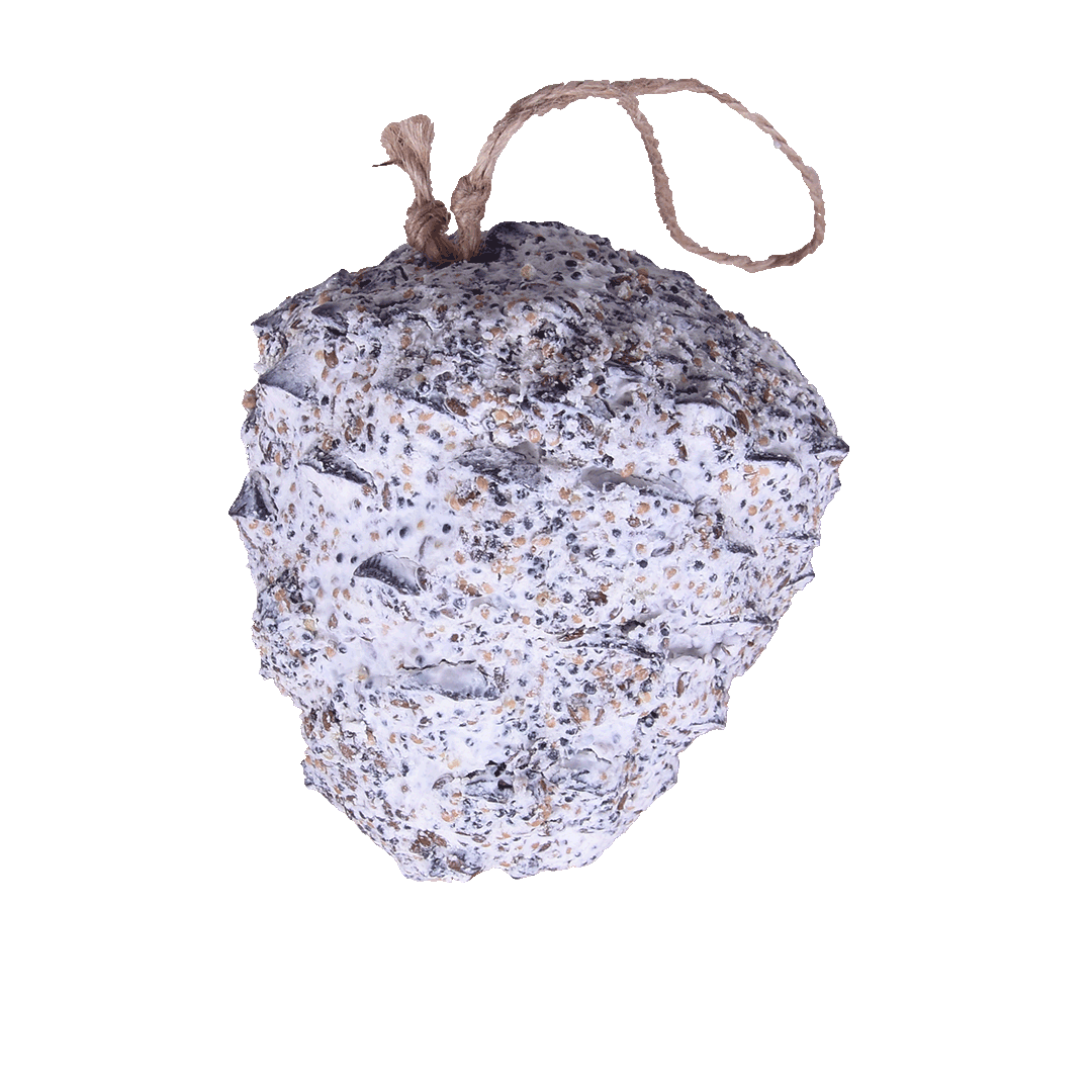 Sortenæb lyxig talgkon