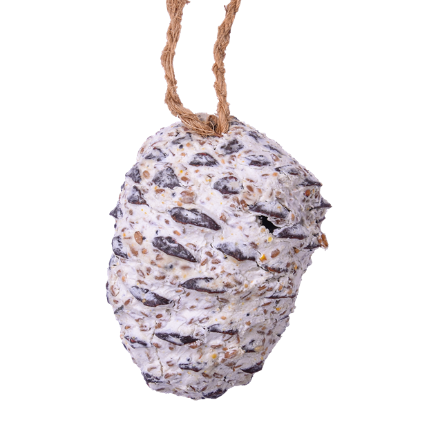 Sortenæb lyxig talgkon