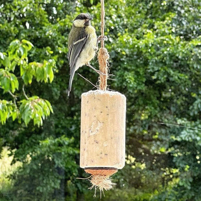 Sortenæb lyxig energikaka