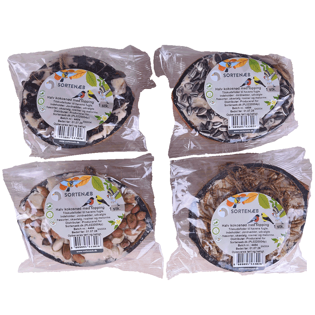 Svartnäbbad blandning av halva kokosnötter med topping (blandat) - pris per styck!