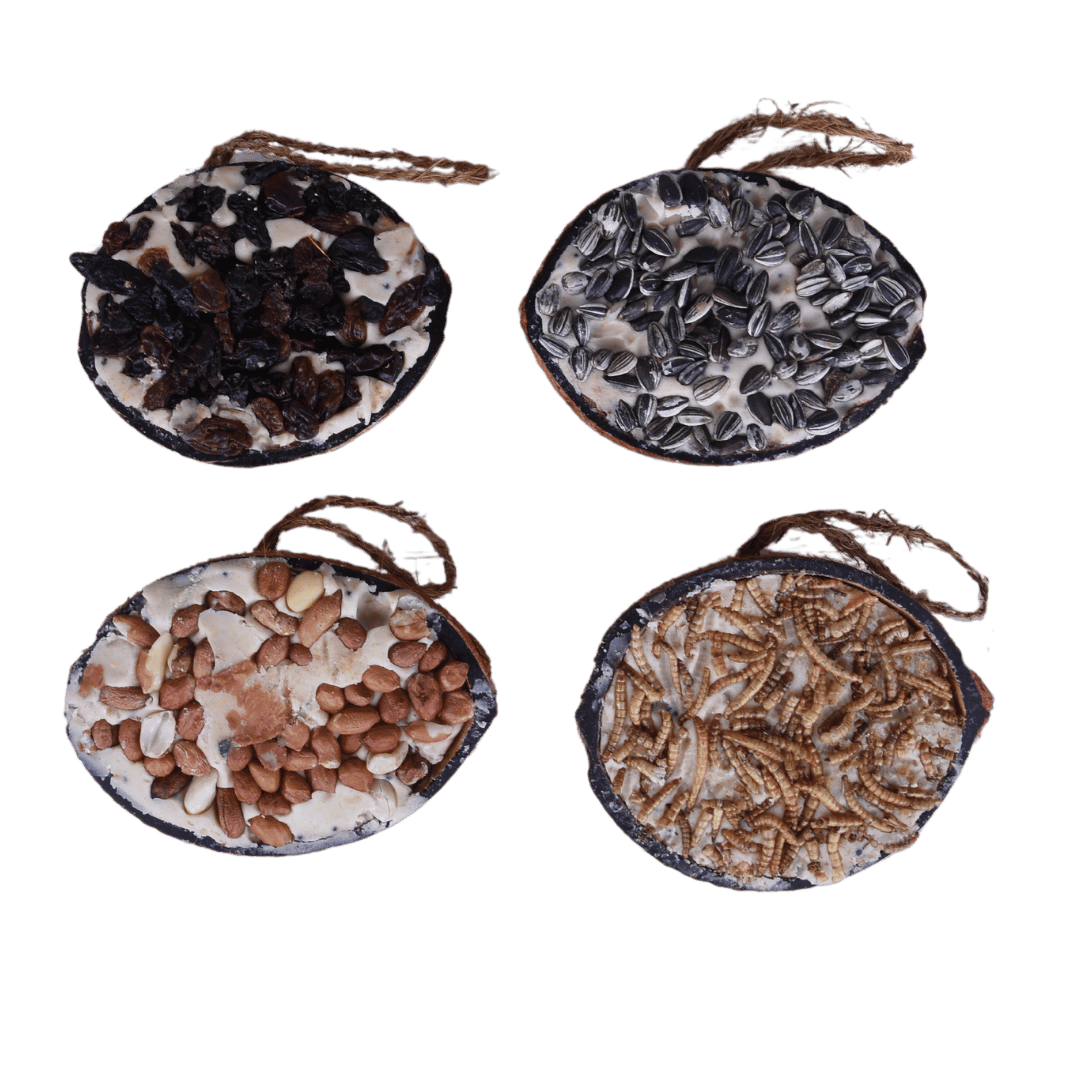 Svartnäbbad blandning av halva kokosnötter med topping (blandat) - pris per styck!