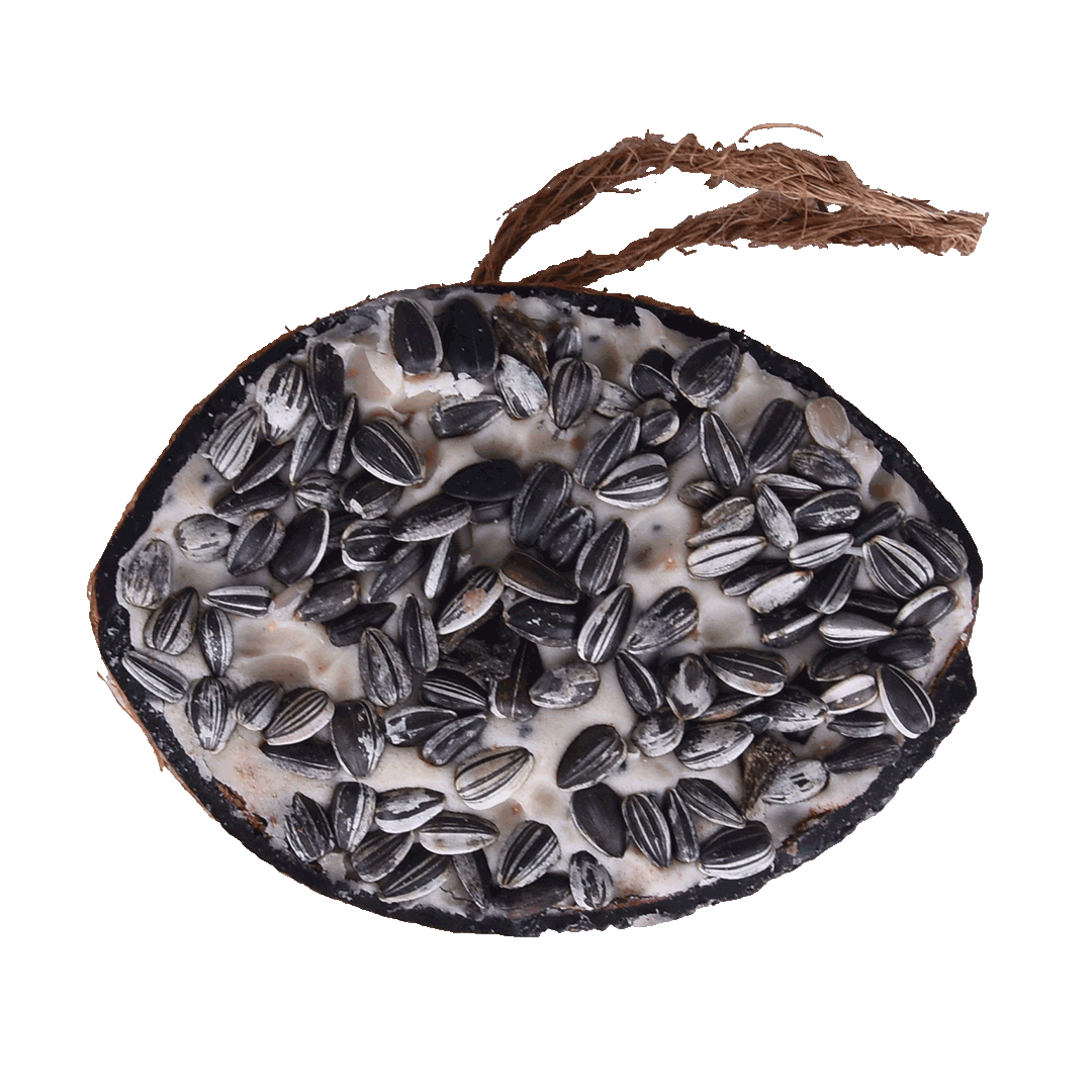 Svartnäbbad blandning av halva kokosnötter med topping (blandat) - pris per styck!