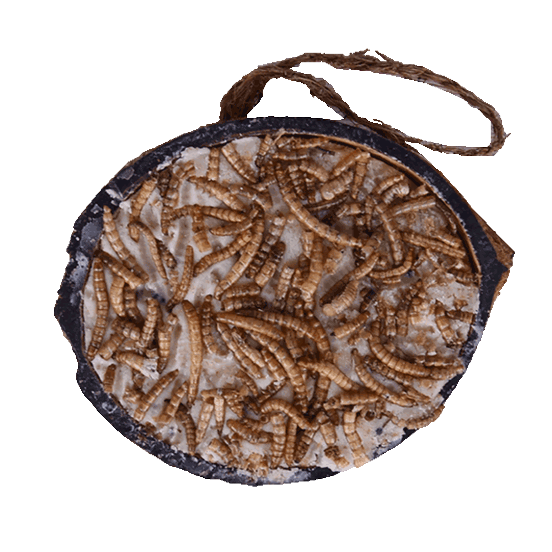 Svartnäbbad blandning av halva kokosnötter med topping (blandat) - pris per styck!