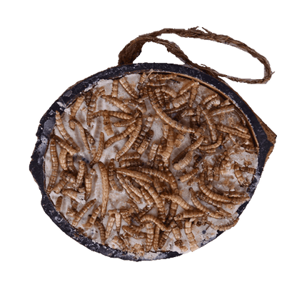 Svartnäbbad blandning av halva kokosnötter med topping (blandat) - pris per styck!