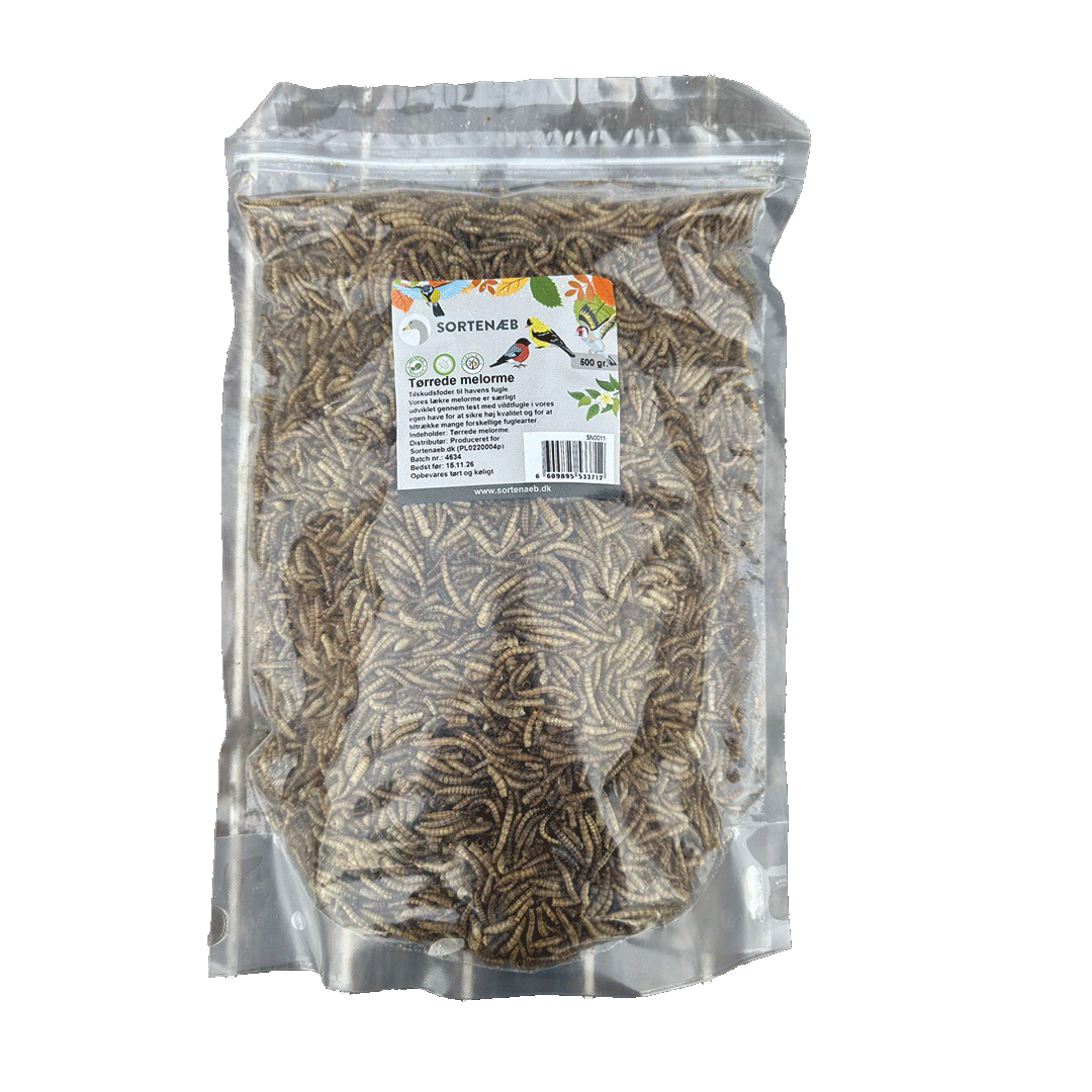 Sortenæb torkade mjölmaskar 0,5 kg