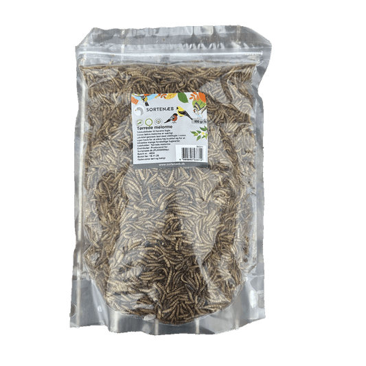 Sortenæb torkade mjölmaskar 0,5 kg