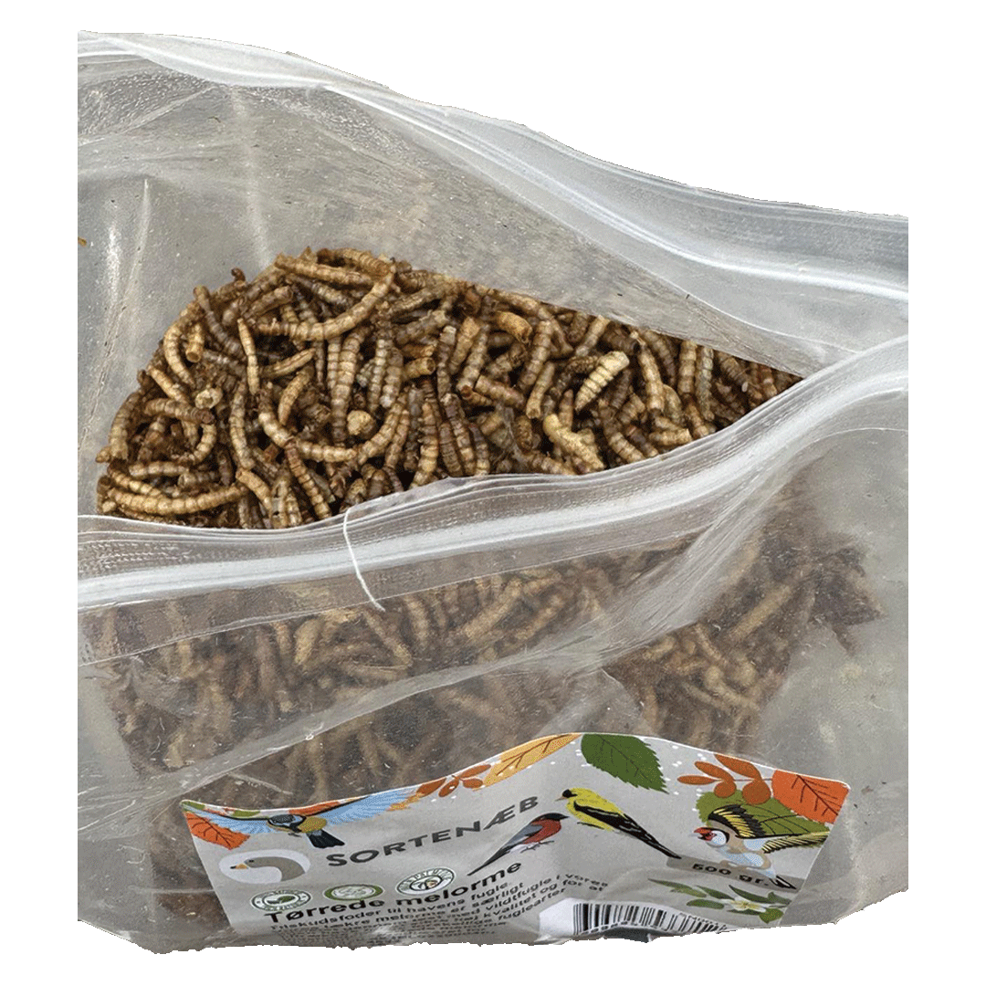 Sortenæb torkade mjölmaskar 0,5 kg
