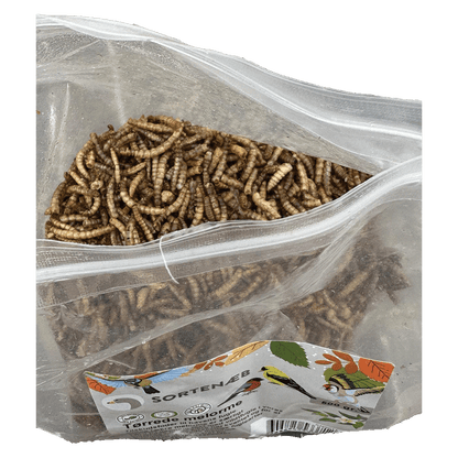 Sortenæb torkade mjölmaskar 0,5 kg