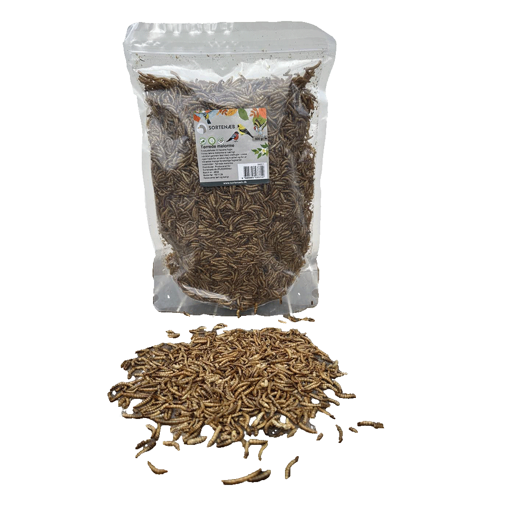 Sortenæb torkade mjölmaskar 0,5 kg