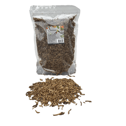 Sortenæb torkade mjölmaskar 0,5 kg