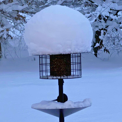 Råttsäker fågelmatare (Förbeställ januari)