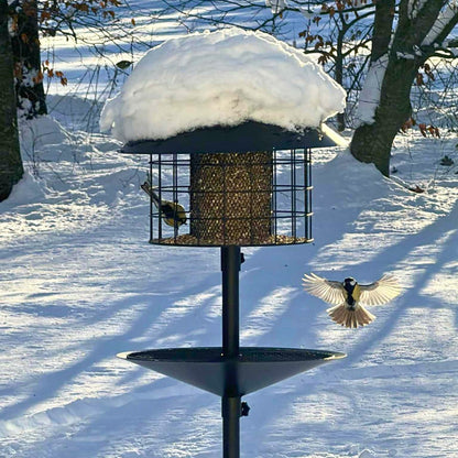 Råttsäker fågelmatare (Förbeställ januari)