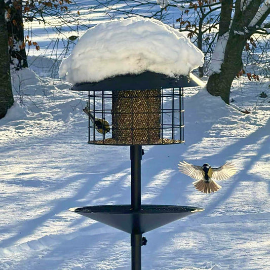 Råttsäker fågelmatare
